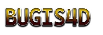 Logo Bugis4D